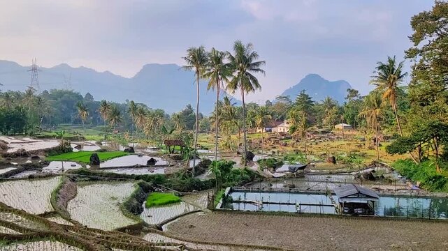 a video of a mountain view from a distance and rice fields stretching out below
