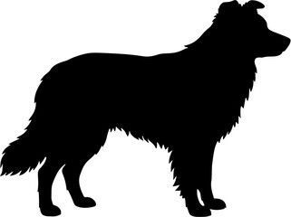 Obraz premium Black silhouette of a long-haired sheepdog on plain white background