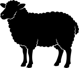 Black sheep silhouette standing on plain white background © dean