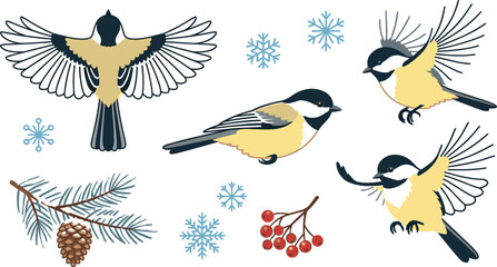 Winter Bird Vector Set with Chickadees in Various Flying and Perching Poses, Pine Branch with Cone, Red Berries, and Blue Snowflakes for Seasonal Nature Designs © Sanjida