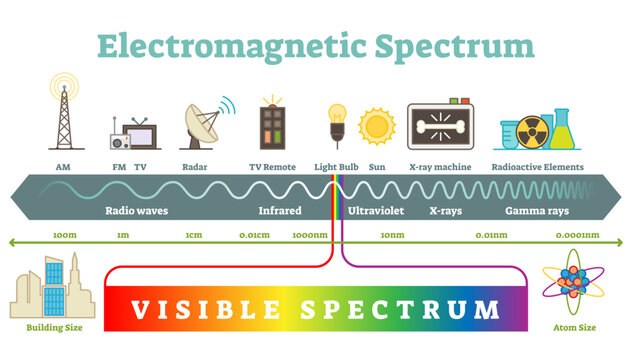 Electromagnetic spectrum infographic diagram, illustration, transparent background.