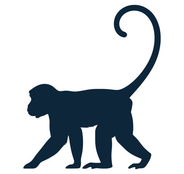 Monkey silhouette walking with long tail profile view