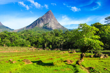 Lakegala Mountain View in Meemure Sri Lanka © Chathura