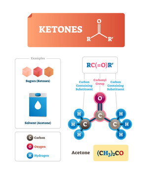 Ketones illustration, transparent background. Sugars and solvent chemical organic compound. Ketoses and industrial acetone example. Labeled educational scheme.