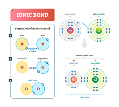 Ionic bond illustration, transparent background. Labeled diagram with formation explanation.