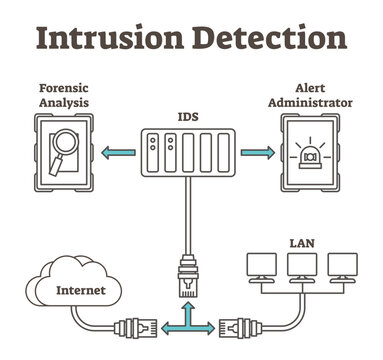 Vector illustration about intrusion detection, transparent background. Scheme with forensic analysis, IDS, administrator, internet and LAN.