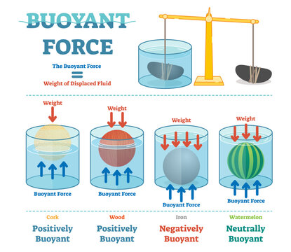 Buoyant force, illustrative educational physics diagram poster, transparent background.