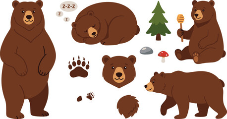 Cute Bear Illustration Set with Sleeping, Eating Honey, Paw Prints, and Forest Themes for Wildlife, Animals, and Nature © Sanjida