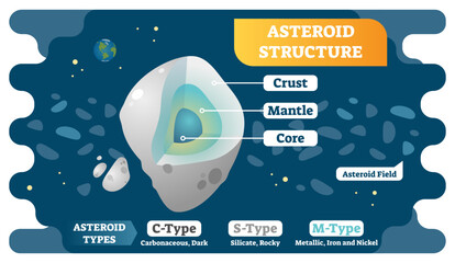 Asteroid structure isometric cross section and asteroid types flat illustration diagram, transparent background. Astrophysics educational information poster. © VectorMine