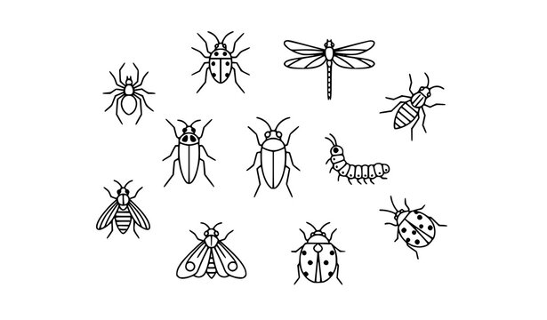 Thin line insect icons collection with mosquito spider cockroach dragonfly and beetle vector symbols
