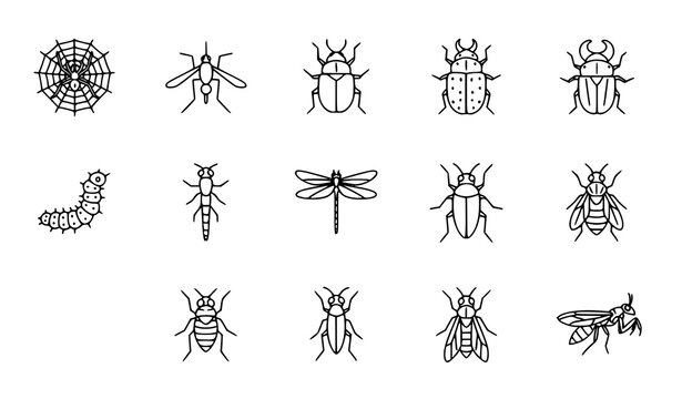 Minimal insect outline icons set with spider mosquito beetle caterpillar and dragonfly vector collection
