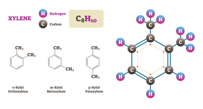 Xylene illustration, transparent background. Labeled chemical structure diagram. Hydrogen and Carbon atoms bonding together and forming Xylene molecule. o-Xylol, m-Xylol and p-Xylol examples.