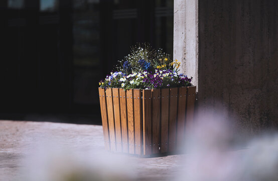 Blumen Pflanz K&uuml;bel aus Holz mit bunten Bl&uuml;ten darin, Schatten und Licht vor Wand stehend