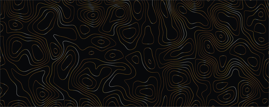 Topographic map contour lines with thin gold and silver metallic strokes on a solid black background representing geological elevation patterns and terrain mapping data