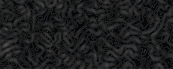 Topographic map pattern with thin white contour lines on a solid black background creating an abstract organic flow of interconnected shapes and wavy lines representing geographic elevation data © VxGFX