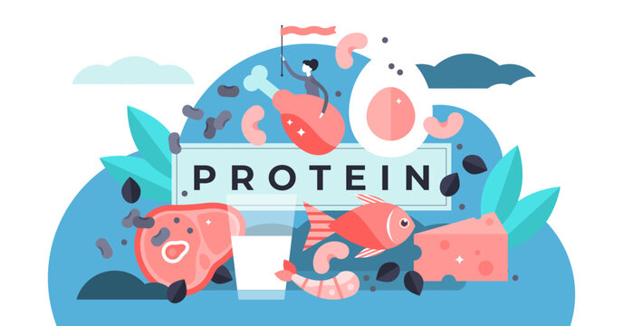 Protein illustration, transparent background. Flat tiny amino acid food menu persons concept. Biomolecules and macromolecules for healthy and athletic lifestyle. Nutrition and wholesome products.