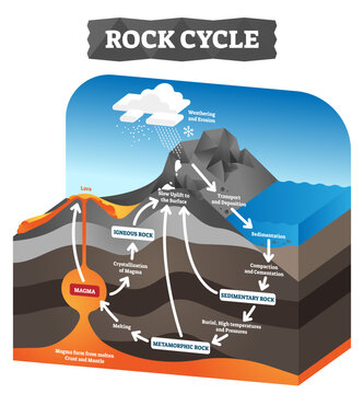 Rock cycle illustration, transparent background. Educational labeled geology process scheme. Diagram with sedimentary, metamorphic and igneous formation. Pressure force impact on tectonic plates.
