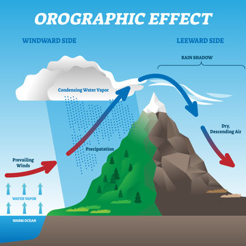 Orographic effect illustration, transparent background.Labeled weather system movement scheme.Educational diagram with windward and leeward side.