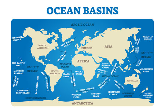 Ocean basins illustration, transparent background. Labeled earth topographic sea map scheme. Educational diagram with trenches, ridges, plains and plateau. World water division parts.