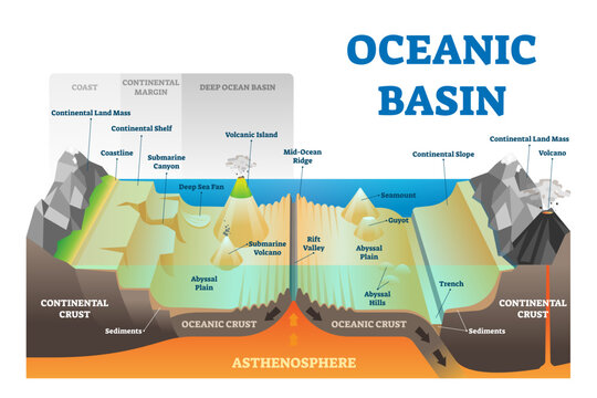 Ocean basin structure illustration, transparent background. Labeled geography educational underwater level scheme with coast, continental margin and crust. Geological explanation with deep atlantic.