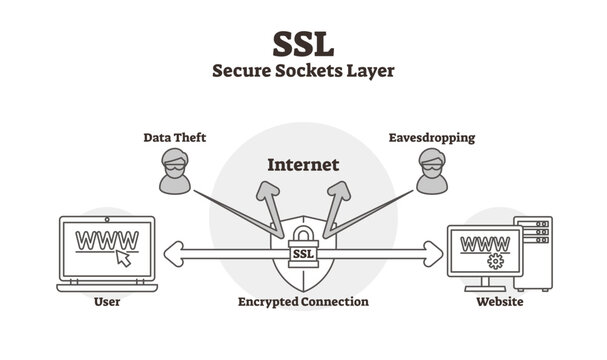 SSL diagram illustration, transparent background. Outlined data secure lock sockets layer scheme. Encrypted connection labeled infographic.