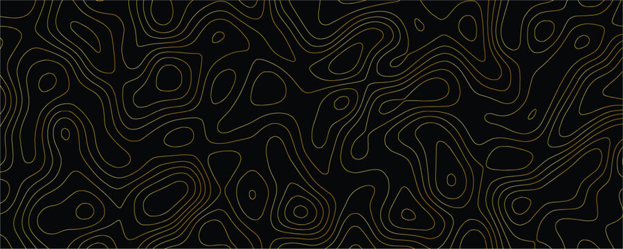 Thin gold contour lines forming an abstract topographic map pattern on a solid black background with flowing organic shapes and concentric circular forms representing elevation data visualization