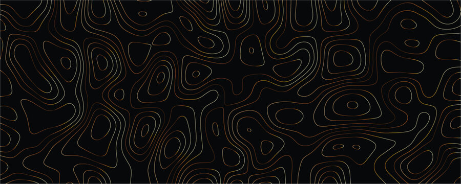 Topographic map contour lines in gold and white on a solid black background representing geographical elevation data and terrain mapping patterns in a style