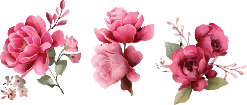 pink flowres isolated on white