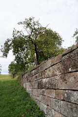 Fototapeta premium Mauer