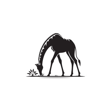 Giraffe silhouette, Walking, Standing, Vector illustration, Nature silhouette, Zoo animal, Giraffe eating, Wild anmal