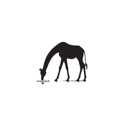 Fototapeta premium Giraffe silhouette, Walking, Standing, Vector illustration, Nature silhouette, Zoo animal, Giraffe eating, Wild anmal