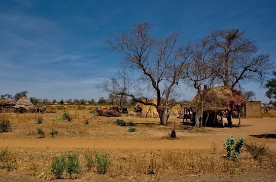 Mongo, Chad, February 26, 2026.  Panorama of an African village with cone-shaped huts built of baked clay bricks, with roofs made of reeds and tree branches.