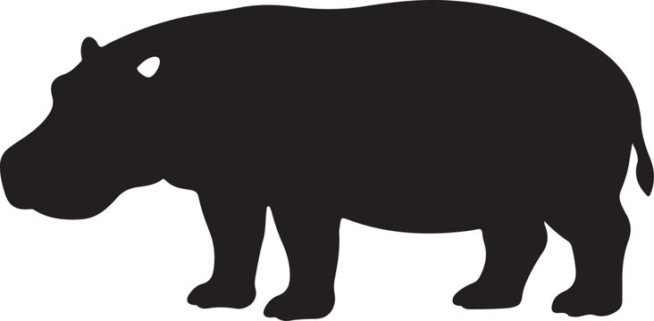 hippopotomus vector