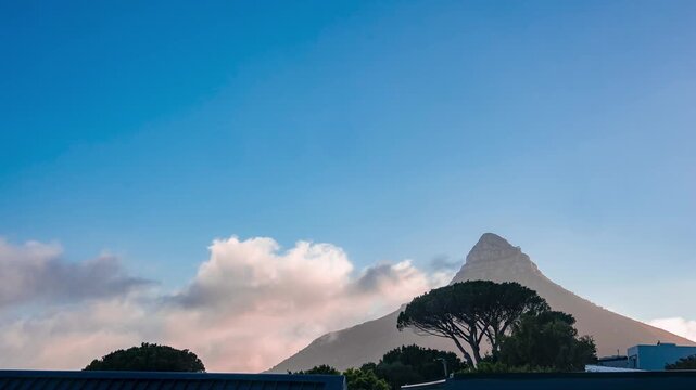 Panoramic timelapse in Cape Town shows Lion's Head behind a pine and low rooftops as coastal clouds sweep and pool, sunlight shifts, and the peak profile stands sharp.