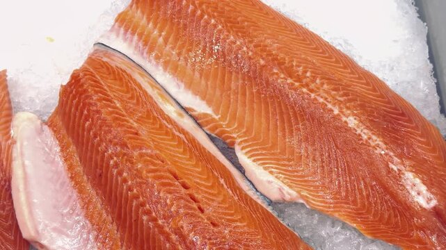 Freshly Cured Salmon Fillets Now Available and Ready for Cooking Delicious Meals. These delicious cured salmon fillets are beautifully displaying their vibrant color and achieving perfect texture