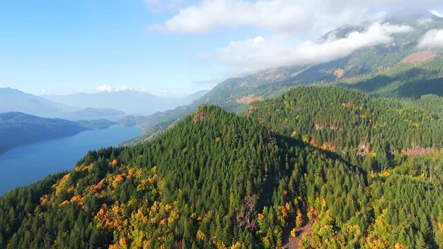 Aerial view of colourful forest on mountain slopes and Harrison Lake. Canada