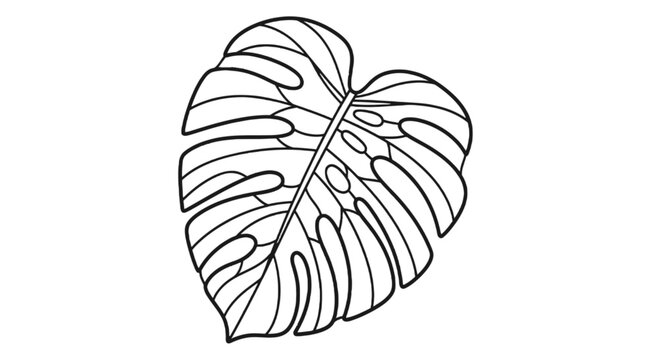 Monstera leaf silhouette on black background high quality