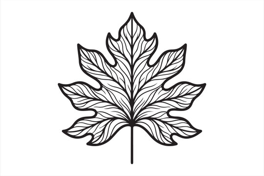 Outline of a stylized maple leaf with detailed veins and pointed lobes