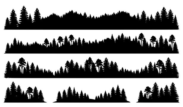 Forest Landscape Border and Woodland Silhouette Vector Illustration Set