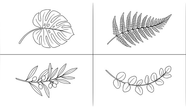 Botanical Tropical Leaf Outline Drawing Vector Illustration Collection