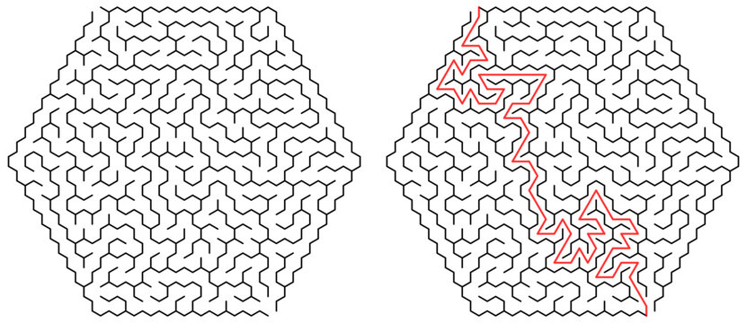 Hexagonal Maze Puzzle with Solution Path