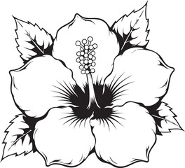 Hibiscus flower line art sketch with detailed petals and tropical leaf foliage background. © MOHINUR