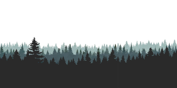 Silhouette of a pine forest with layers of evergreen trees in a misty mountain landscape
