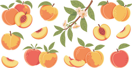 Obraz premium Fresh ripe peaches and peach slices with green leaves and blossoms on branch