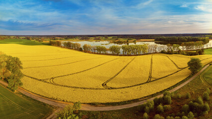 Wiosna na Warmii. Kwitnienie rzepaku. © Janusz Lipiński