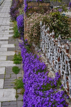 Views around the town of Fishguard, Pembrookshire, Wales