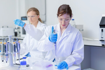Fototapeta premium Scientist uses pipette to transfer liquid in laboratory during research on biological samples