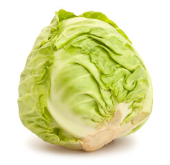 Fototapeta premium cabbage path isolated on white