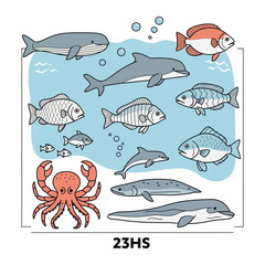 Obraz premium Marine life collection aquatic animal line art illustration with wildlife