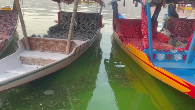 Traditional Wooden Boats Floating on Calm Water at Lakeside Dock shikara ride on dal lake